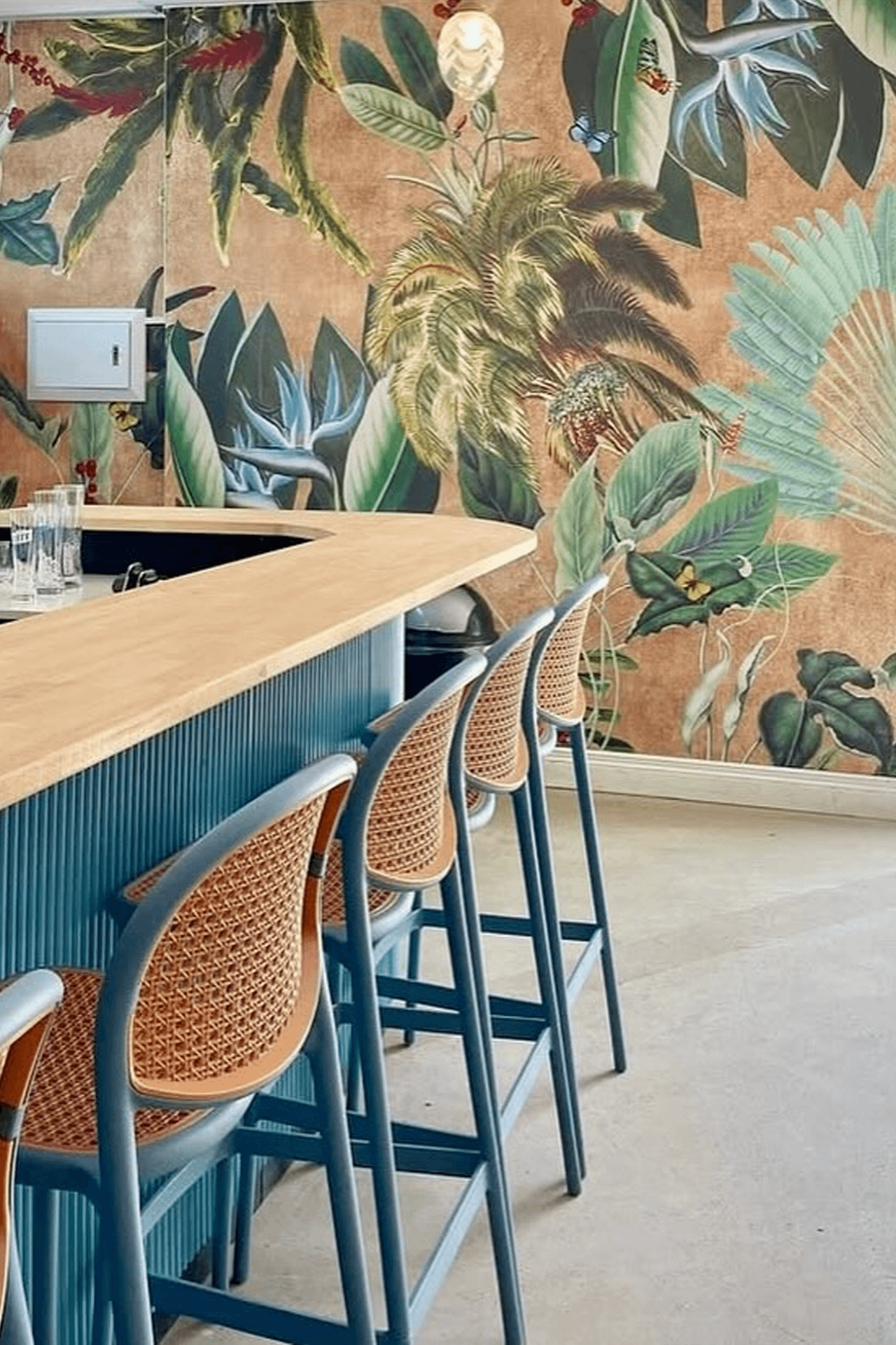 Tropical mural wallpaper: lush green leaves, palm fronds, colorful birds; vibrant, bold colors.