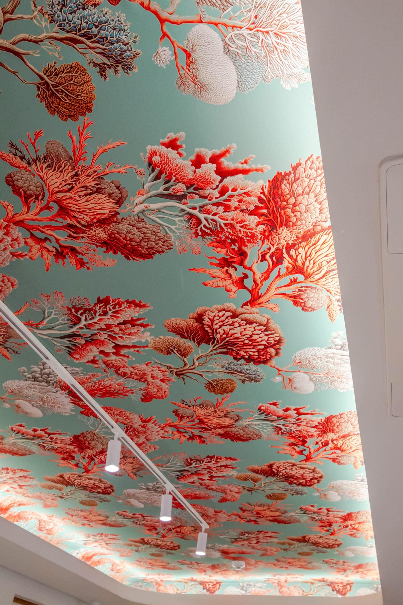 Wallpaper with intricate coral patterns in red, orange, and white set against a teal background.