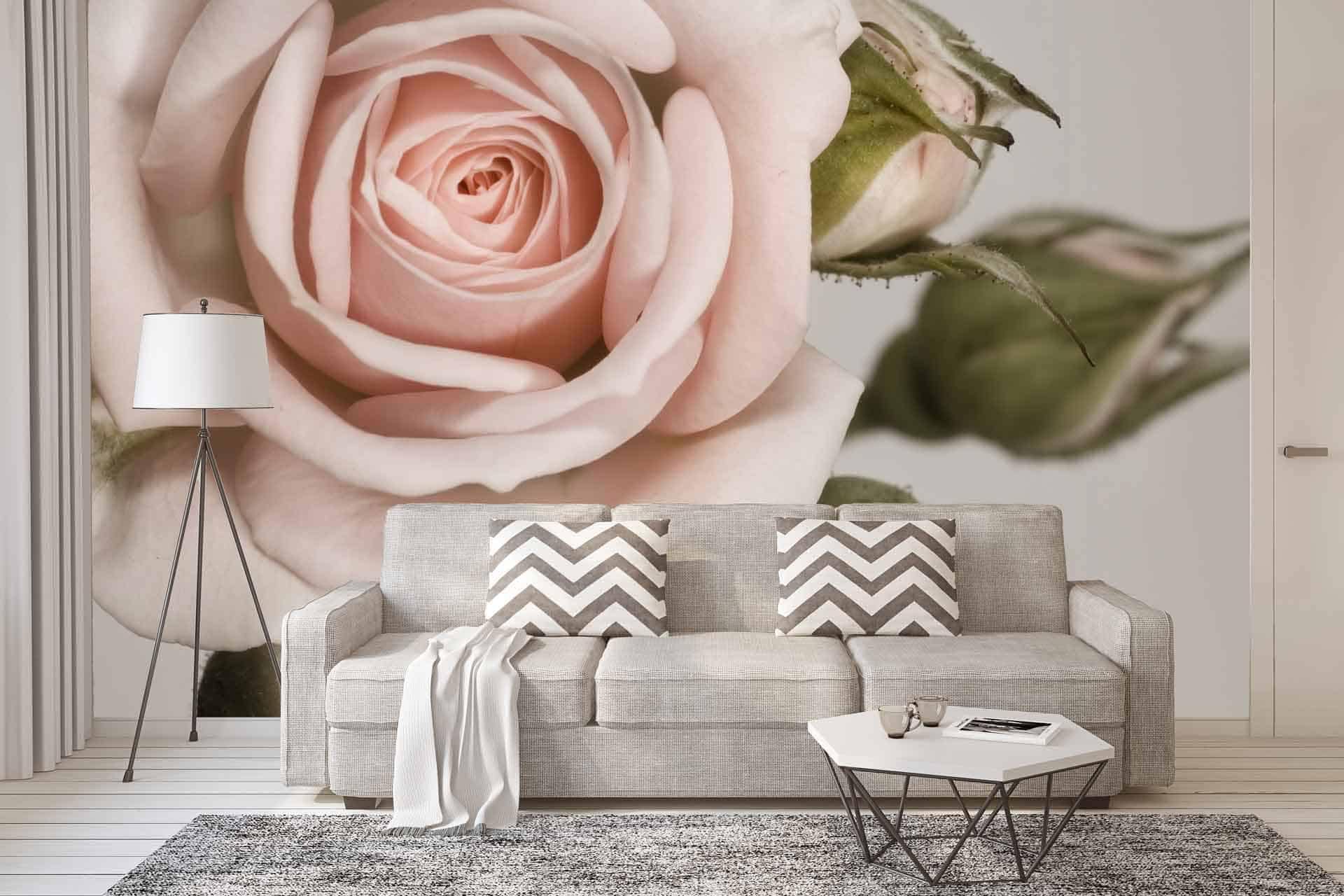 Oversized mural featuring a soft pink rose. Elements: petals, floral details. Colors: soft pink, subtle variations of pink tones, elegant and delicate theme.