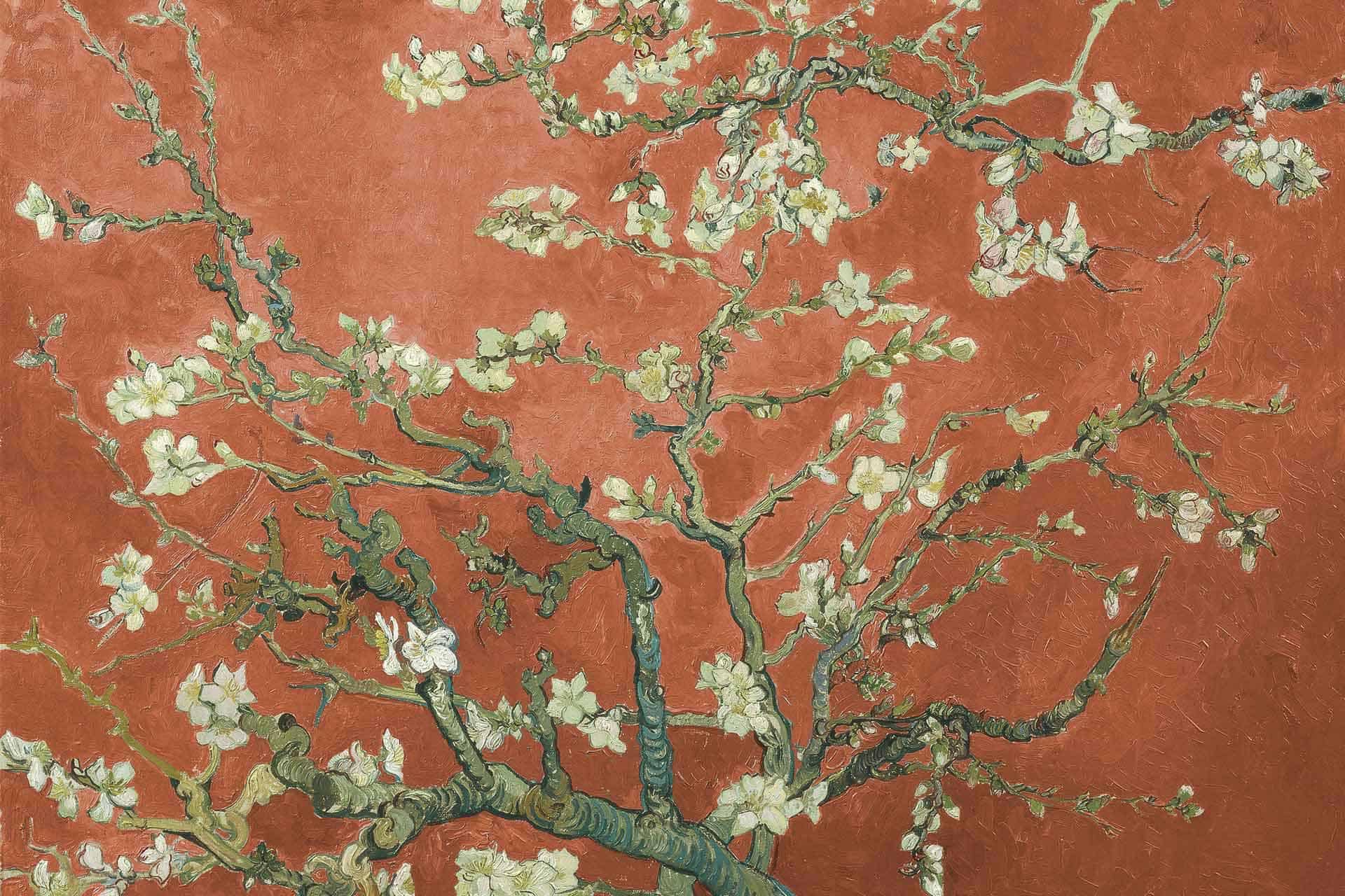 Wallpaper featuring "My Cherie" highlights intricate almond blossom branches adorned with delicate white flowers and emerging green leaves. These vibrant details sharply contrast the rich red backdrop, emulating the style of Van Gogh. Perfect for adding an artistic touch to your space.