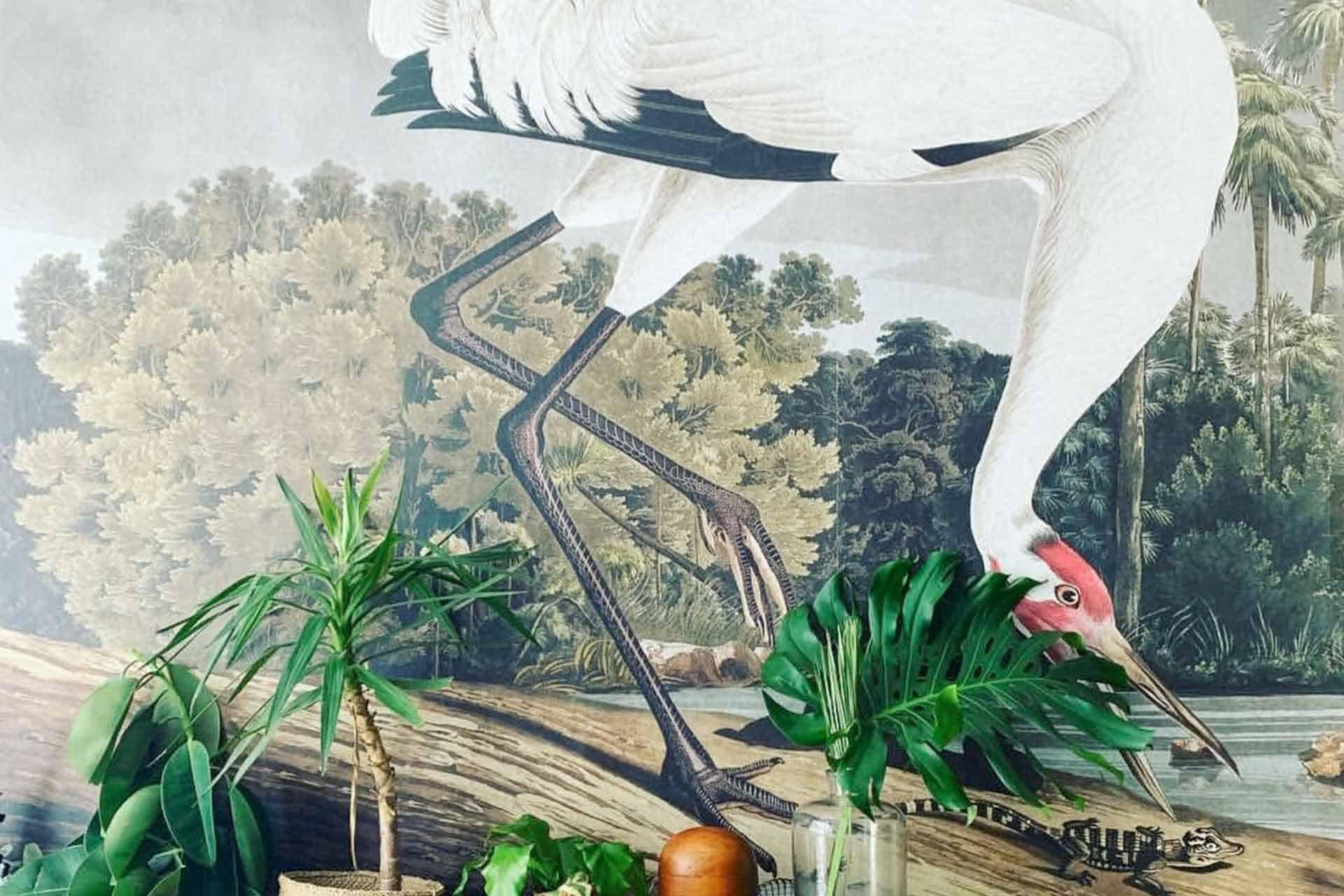Vibrant mural featuring a white bird with a red head against a lush, green forest backdrop. Detailed foliage in rich greens and browns. Prominent wooden textures in the foreground with assorted potted plants and leaves adding depth. Beautiful natural elements blend seamlessly into the artistic scene creating an eye-catching visual experience.