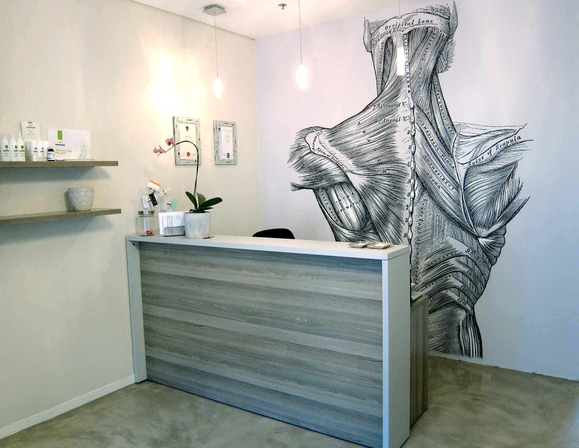 The wallpaper features an elegant black-and-white anatomical drawing of human neck and upper back muscles. The colors are monochromatic, emphasizing intricate lines and detailed shading.