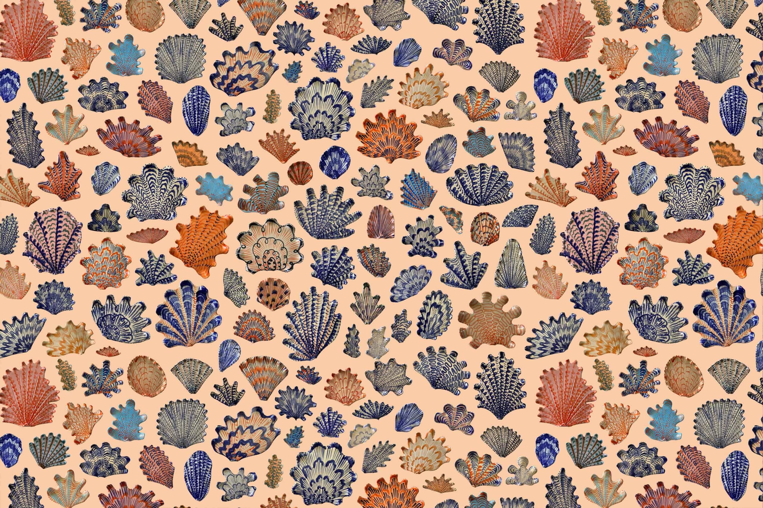 A vibrant wallpaper showcasing detailed coral illustrations in various shapes and sizes. Predominant colors include orange, blue, and teal corals set against a light beige background. Key elements: coral illustrations, orange corals, blue corals, teal corals, light beige backdrop.