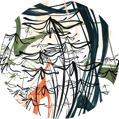 Abstract wallpaper featuring stylized black, green, and orange lines forming plant-like shapes on a white background. Overlapping forms create dynamic movement and depth.