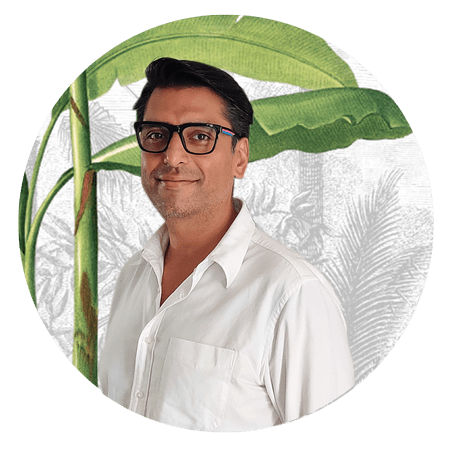 Leafy green plants dominate the wallpaper, with varying shades of rich emerald, forest green, and hints of lime. Patterns of large tropical leaves create a lush and vibrant background.