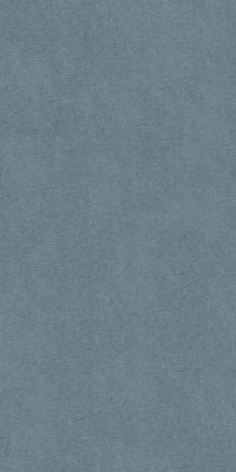 Textured blue background: subtle, mottled, slightly rough appearance. Even color distribution. Calm, neutral backdrop. Key elements: blue texture, subtle mottling, slight roughness.