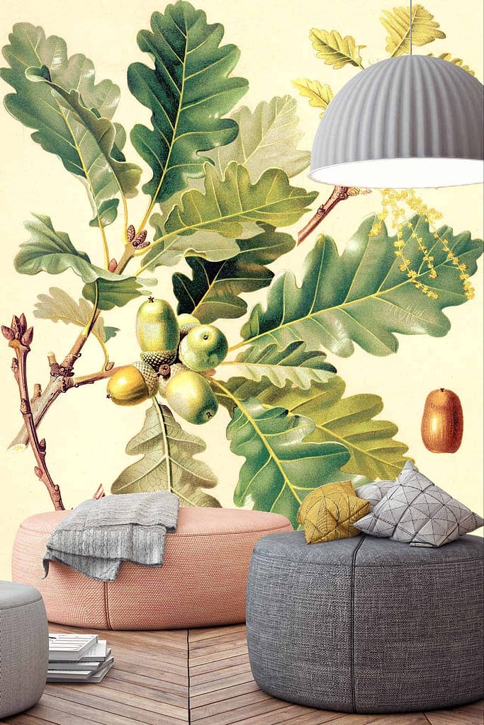 A modern living room features a large botanical wallpaper with illustrated oak leaves and acorns. The wallpaper showcases detailed elements such as **oak leaves** and **acorns**, using a rich palette of **greens** and **browns** to highlight the natural theme.