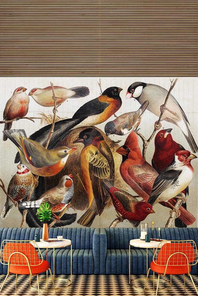 Vibrant wall mural with colorful birds, branches, natural nests. Bright hues and rich textures.