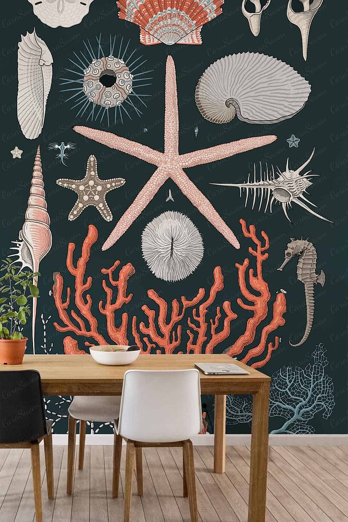 The wallpaper features illustrations of marine life, including a large starfish in shades of orange and yellow, vibrant red and pink corals, intricately detailed seashells in soft white and beige tones, and a seahorse with shades of blue and green. The background is dark, creating a striking contrast with the colorful marine elements.