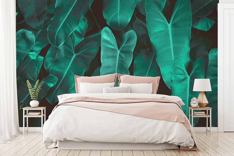 The wallpaper features a striking pattern of large, dark green tropical leaves reminiscent of nature-inspired Python data visualizations. The elements in the mural capture the lush, vivid shades typically found in dense rainforests.