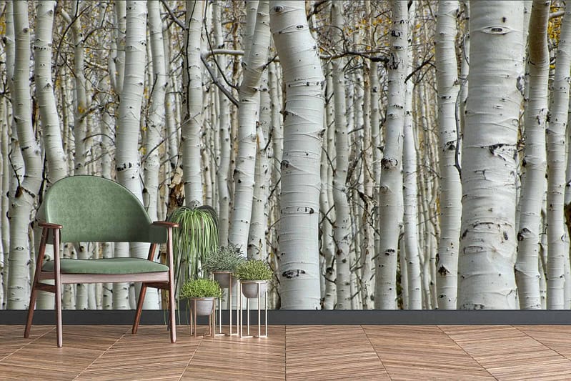 A wall mural depicts a dense grove of aspen trees, featuring hues of green, white, and brown. The earthy color palette emphasizes natural elements like tree trunks and leaves, creating a serene atmosphere reminiscent of nature.
