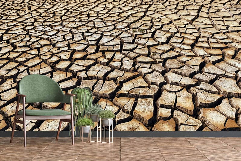 The room features a striking **wall mural** that vividly depicts **cracked, dry earth** suggestive of a severe **drought**. The mural's intricate details highlight the deep fissures in the parched ground and vary in shades of browns and ochres. Touches of grey accentuate the cracks, adding depth to the landscape's arid appearance. This commanding wallpaper serves as a dramatic backdrop that underscores themes of environmental crisis and resilience.