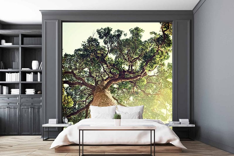 A bedroom features a large mural of a tree canopy wallpaper. Elements include leafy branches and dappled sunlight filtering through. The dominant colors are various shades of green, mixed with touches of sunlight yellow and natural brown tones.