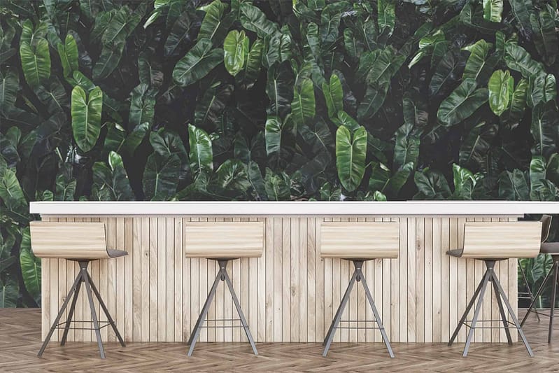 The wallpaper is a lush, green leafy wall. It features dense foliage in various shades of green, creating a vibrant and natural ambiance. The leaves vary in shape and size, adding depth and texture to the space.