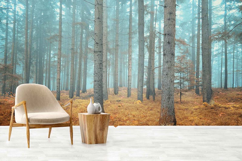 A mural of misty, autumn-colored forest pines with tall trees illuminated by the soft glow of sunset. The wallpaper features hues of amber, gold, and soft orange blending into the deep greens of the pine trees. The mist creates a dreamy atmosphere with a subtle gradient from light to shadow, enhancing the serene ambiance.