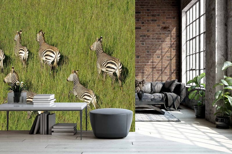 A large floor-to-ceiling wall mural showcases zebras running through green grass, featuring black-and-white stripes on the zebras and vibrant greens in the grass.