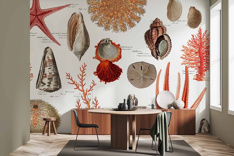 Wallpaper features large, detailed illustrations of various seashells and corals in earthy tones. Elements include shells, corals. Colors: beige, brown, cream, soft green.