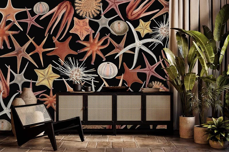 Starfish pattern wallpaper, orange, pink, beige tones, subtle blue accents.