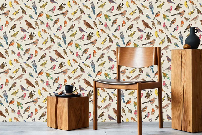 Nottingham wallpaper with a vibrant, repeating pattern of multicolored birds—red, blue, yellow, and green—perched on branches against a light background.