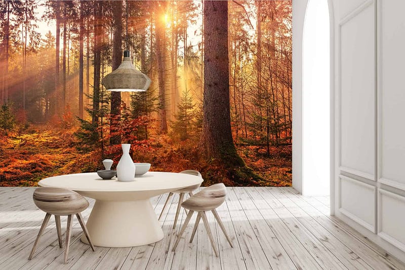 A large, vivid mural of an autumn sunlit forest features warm oranges, deep reds, and golden yellows. Soft light filters through the trees, casting gentle shadows. Rich browns and greens create depth and enhance the cozy atmosphere. This stunning wallpaper brings nature indoors with vibrant colors and serene light effects.