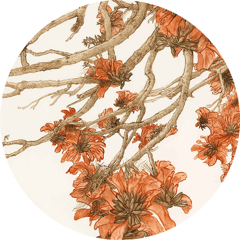 Wallpaper features blooming orange flowers and winding branches, rendered in delicate lines and soft shading on a white background with a circular border. Elements include floral patterns, twisting stems, orange hues, subtle grays, and minimalist design—ideal for searches on floral wallpaper with orange flowers.