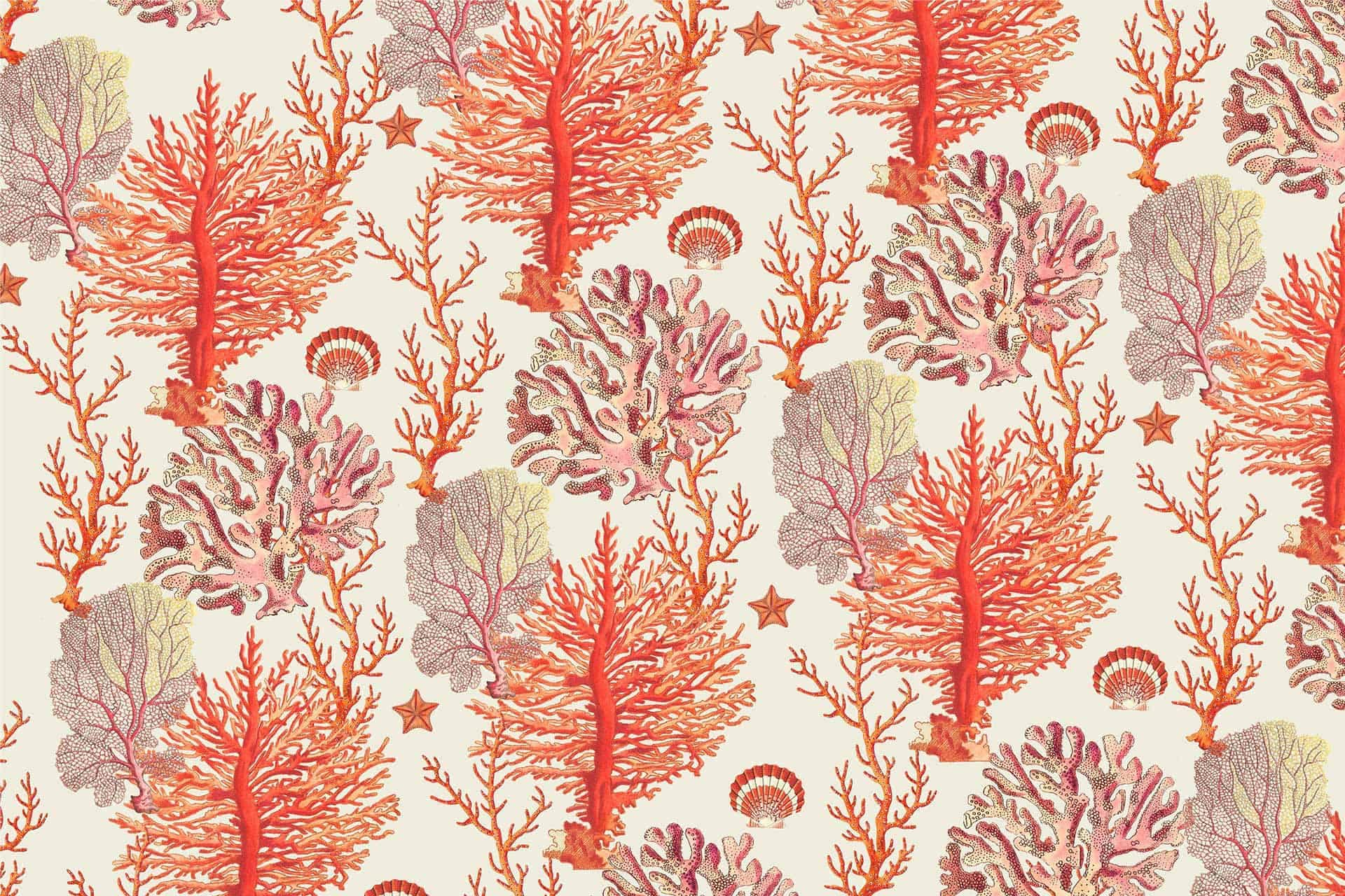 A seamless wallpaper pattern featuring various types of coral and sea plants. The design includes intricate details of branching coral, fan-shaped coral, and small sea stars in shades of red, pink, and beige on an off-white background. Elements: branching coral, fan-shaped coral, sea stars. Colors: red, pink, beige. Background color: off-white.