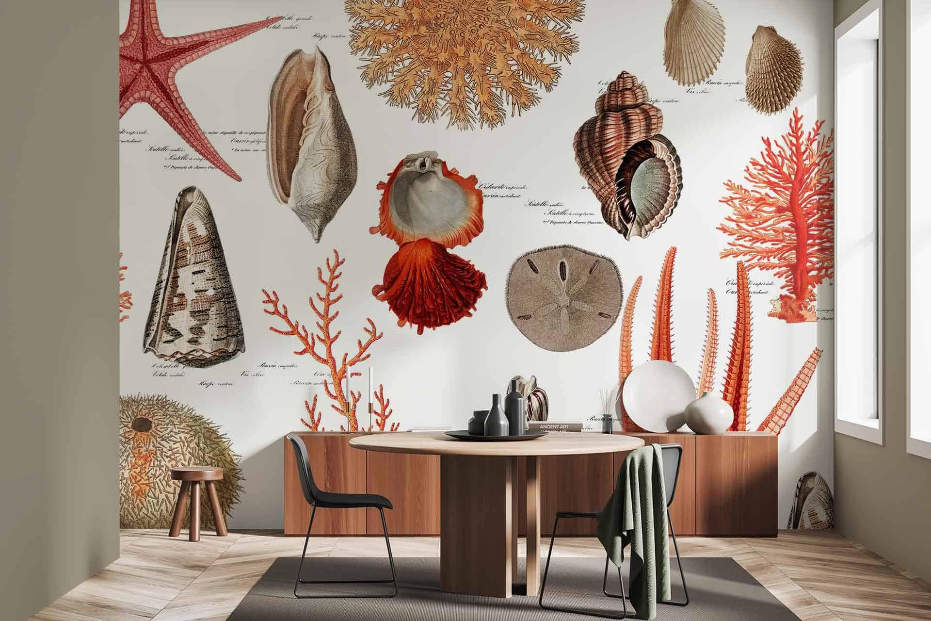 Wallpaper features large, detailed illustrations of various seashells and corals in earthy tones. Elements include shells, corals. Colors: beige, brown, cream, soft green.