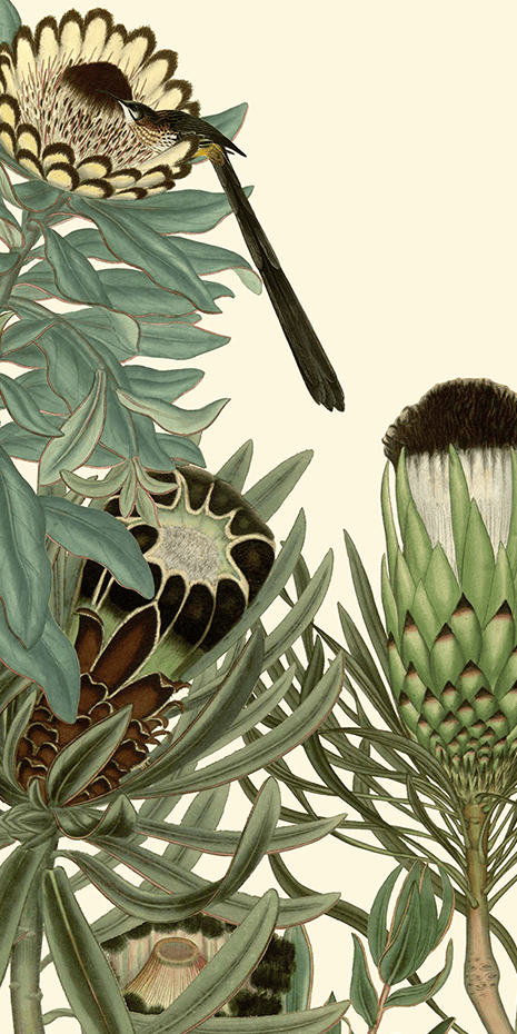 **Wallpaper Illustration Description:**

The wallpaper features a detailed illustration of a bird perched on a large flower. Surrounding this central element are various botanical elements, including leaves and distinctive flowering plants. The composition showcases:

- **Intricate patterns** with an emphasis on natural forms.
- **Natural hues** in the following tones:
  - Green
  - Brown
  - Cream

Key elements to focus on:
- Bird (perched)
- Large flower (central)
- Leaves
- Flowering plants

This detailed scene offers a rich tapestry of color and form, perfect for creating an inviting and nature-inspired ambiance.